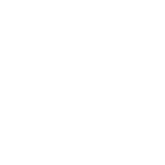 full stack developer